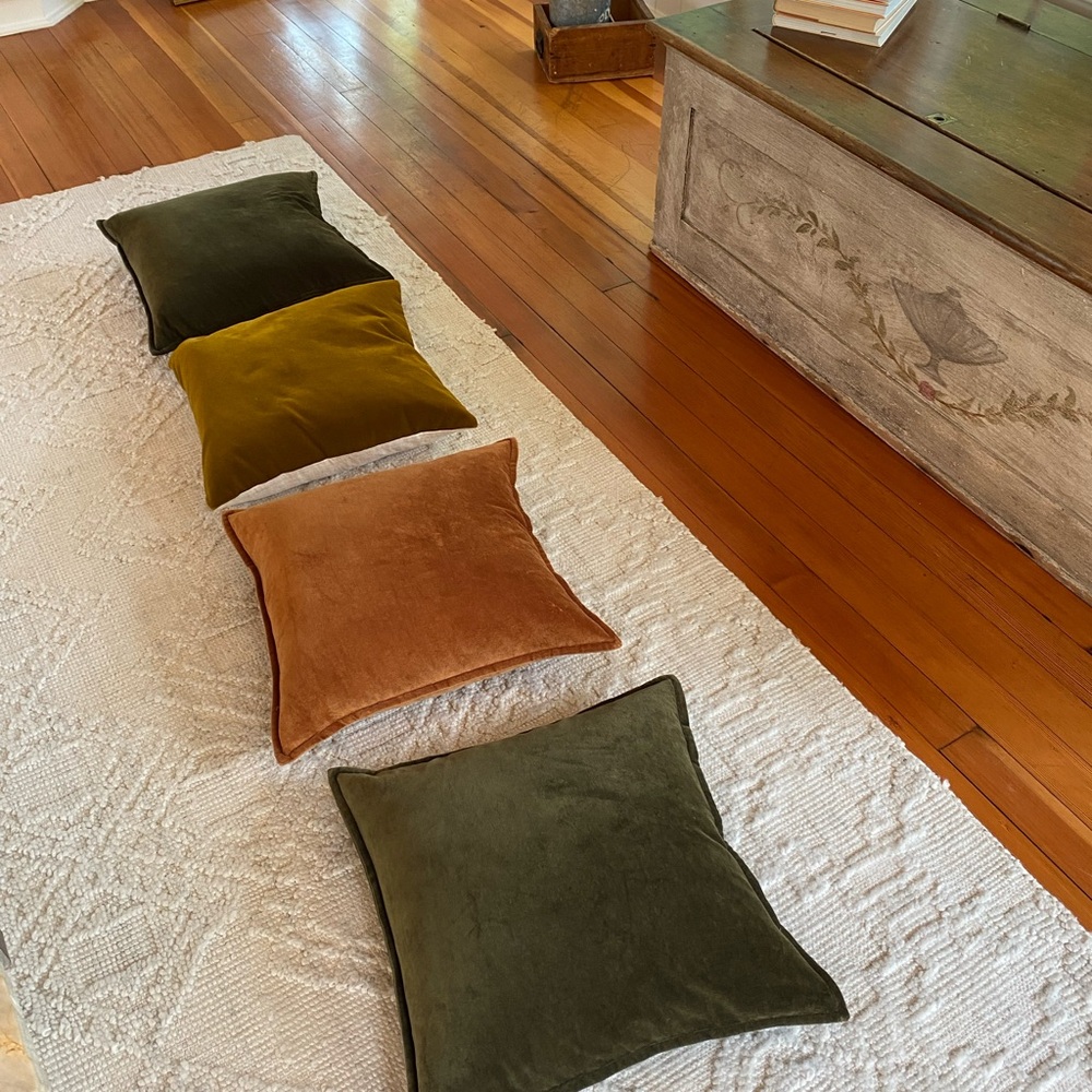 Crate & Barrel Velvet Accent Pillow Set